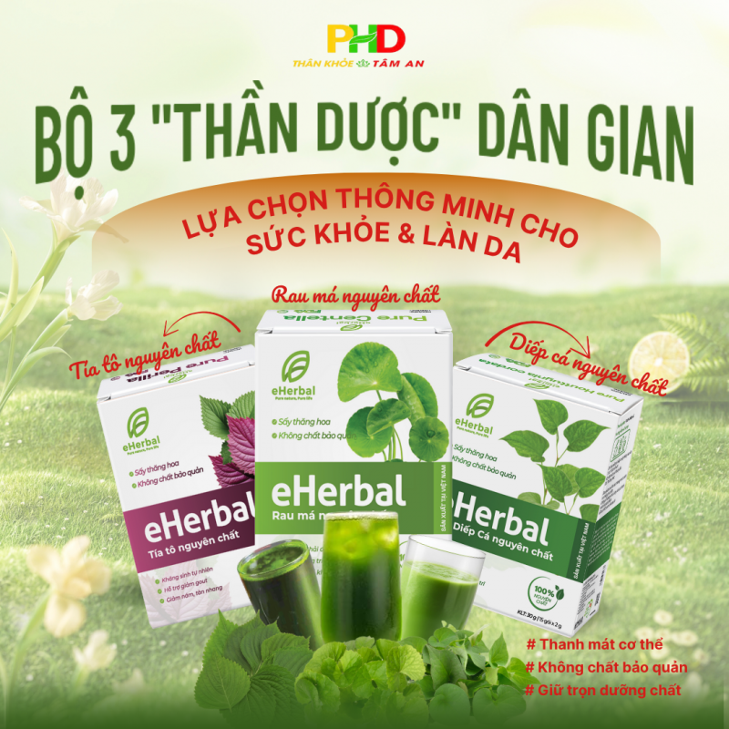 Bộ 3 thần dược dân gian gọi tên: Bột Tía tô nguyên chất - Bột Rau má nguyên chất - Bột diếp cá nguyên chất